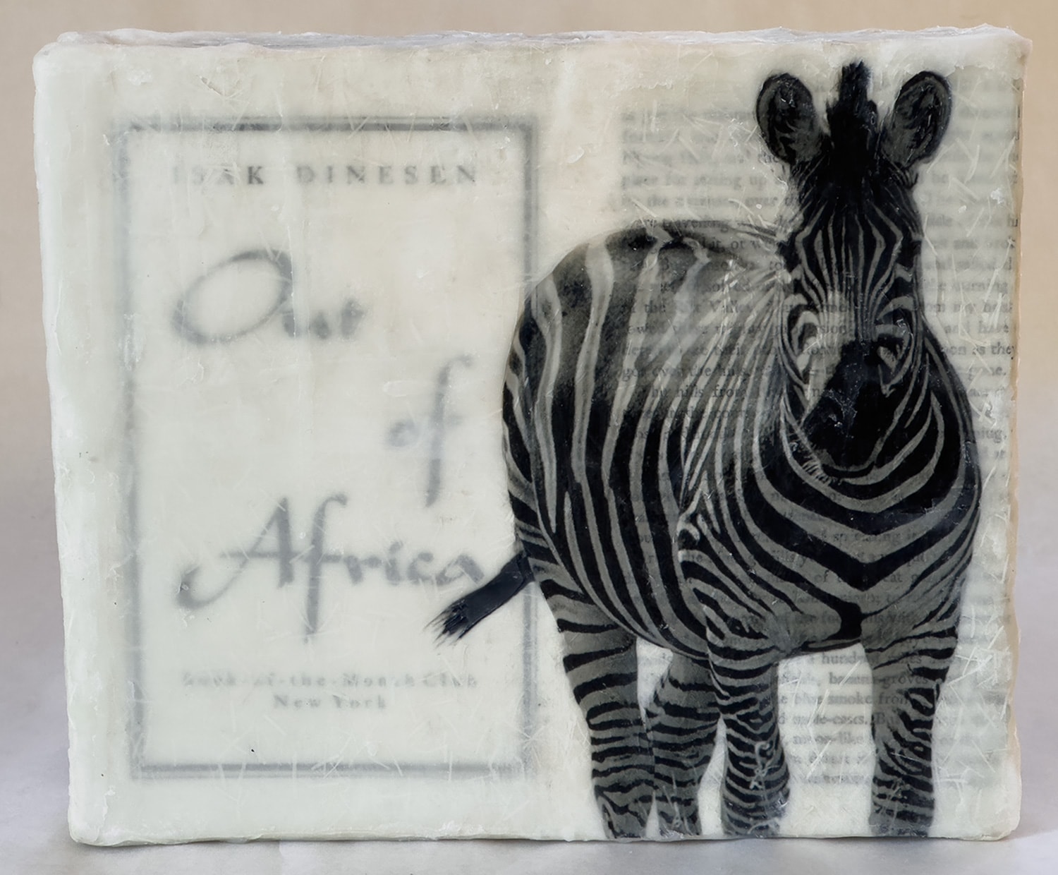 African Magic Box — zebra on Out of Africa book pages by Isak Dinesen, encased in encaustic wax — Helen K. Garber
