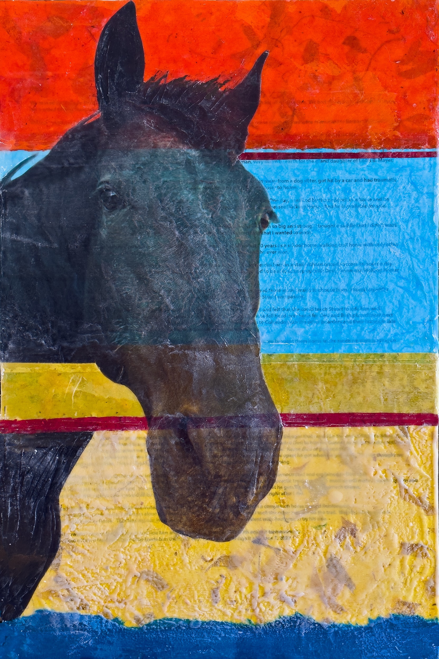 Horse Stories series — equine fine art photography by Helen K. Garber