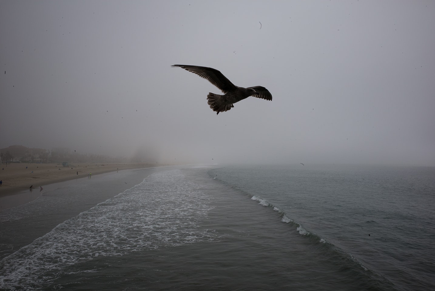 Santa Monica Bay series — Venice Beach photography by Helen K. Garber
